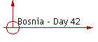 Bosnia - Day 42